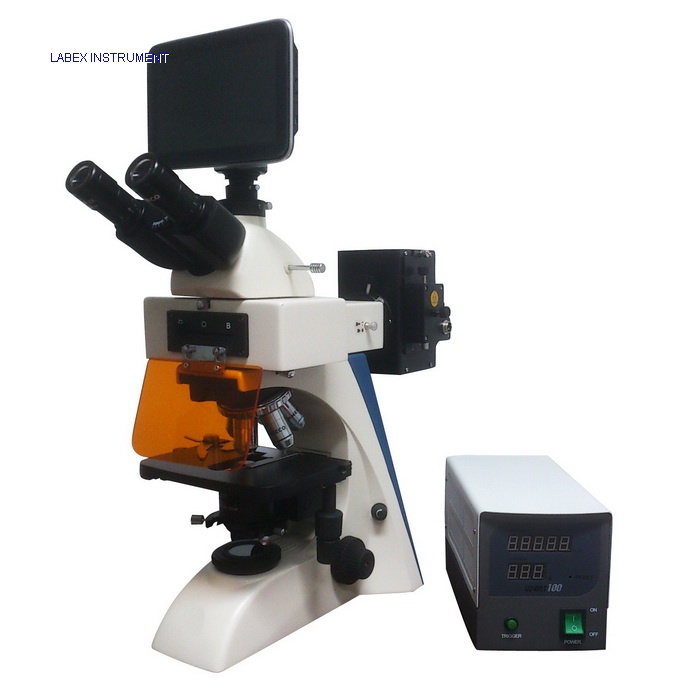 Video Fluorescence Microscope EUM-5000FLCD