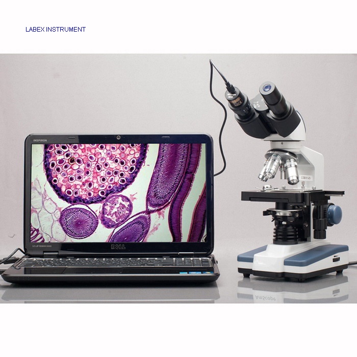 ECE-LX series camera eyepiece